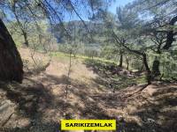 Resim14241